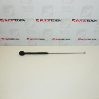 Juego de antenas Citroën C3 Pluriel 6561R7 656197