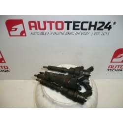 Conjunto de inyección Bosch 2.0HDI 0445110062