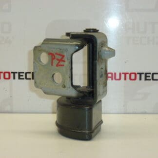 Tope bisagra puerta trasera derecha Peugeot 207 25109480 9037C0