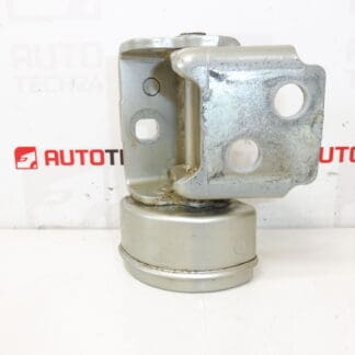 Tope bisagra puerta trasera izquierda Peugeot 207 15189580 9037C1