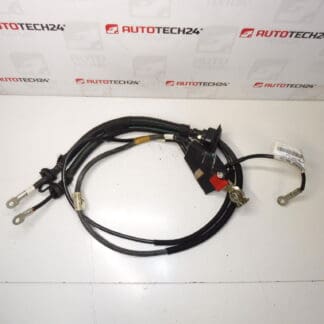 Cable conexion + polo en motor Citroën Peugeot 1400721280 1400812780